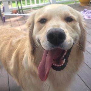 Meet your Posher, Faith